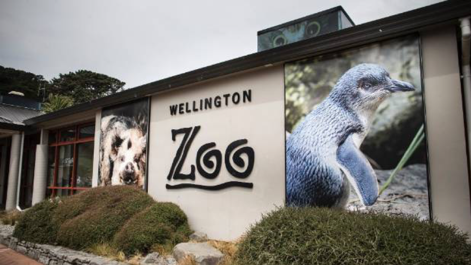 Wellington Zoo – Supporting Retail, Merchandising and Marketing Wellington Zoo – Supporting Retail, Merchandising and Marketing